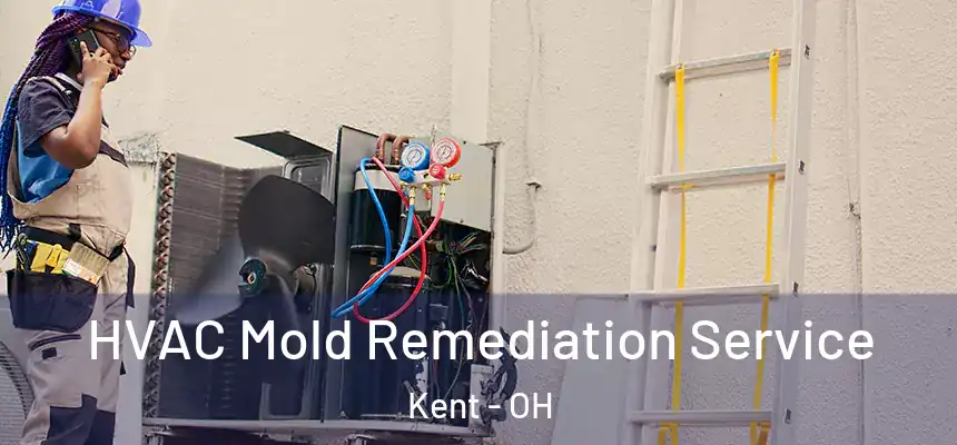  HVAC Mold Remediation Service Kent - OH