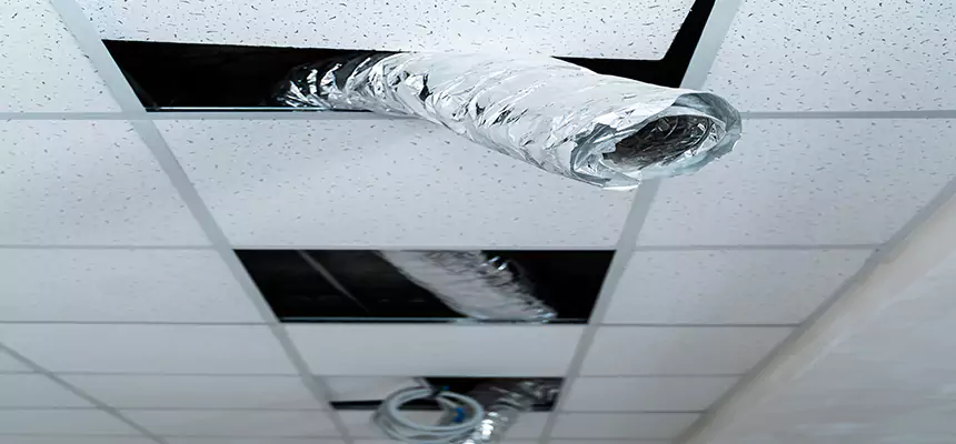 Affordable HVAC Sanitizing After Pest Removal in Kent