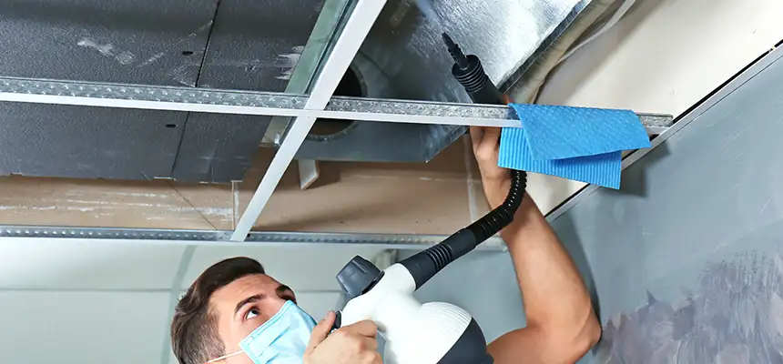 Our Air Duct Rodent Removal Services in Kent, OH