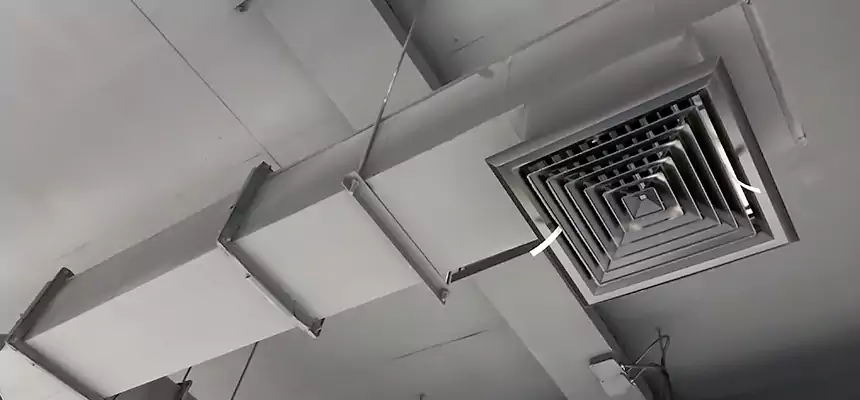 Our Rodent Droppings In Vents Services in Kent, OH