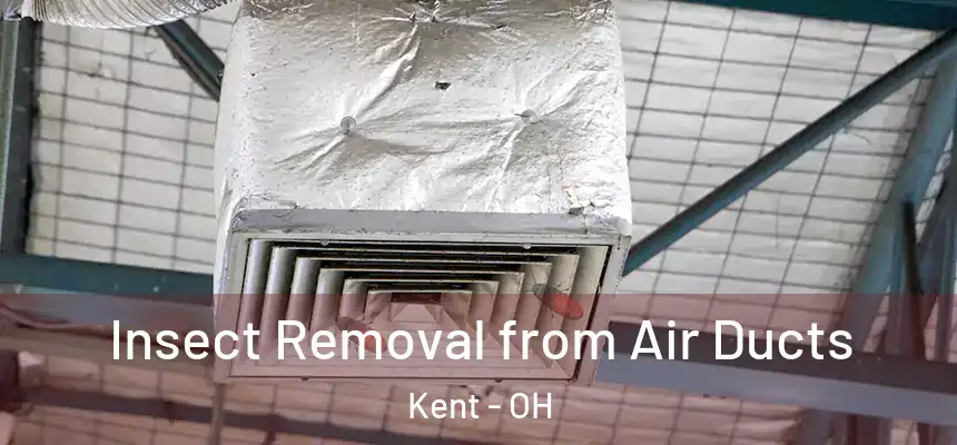  Insect Removal from Air Ducts Kent - OH