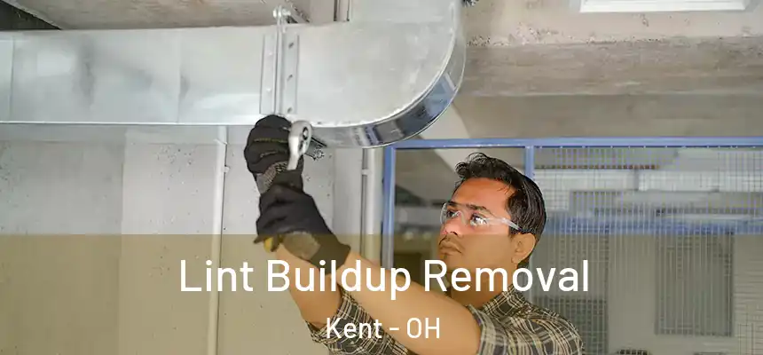  Lint Buildup Removal Kent - OH