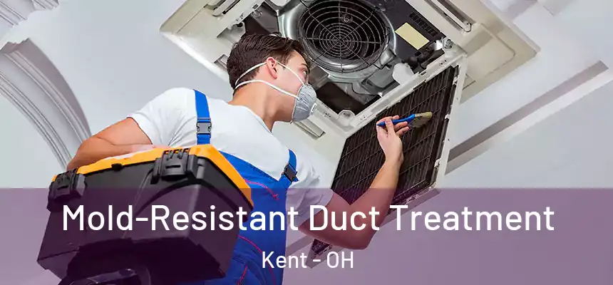  Mold-Resistant Duct Treatment Kent - OH