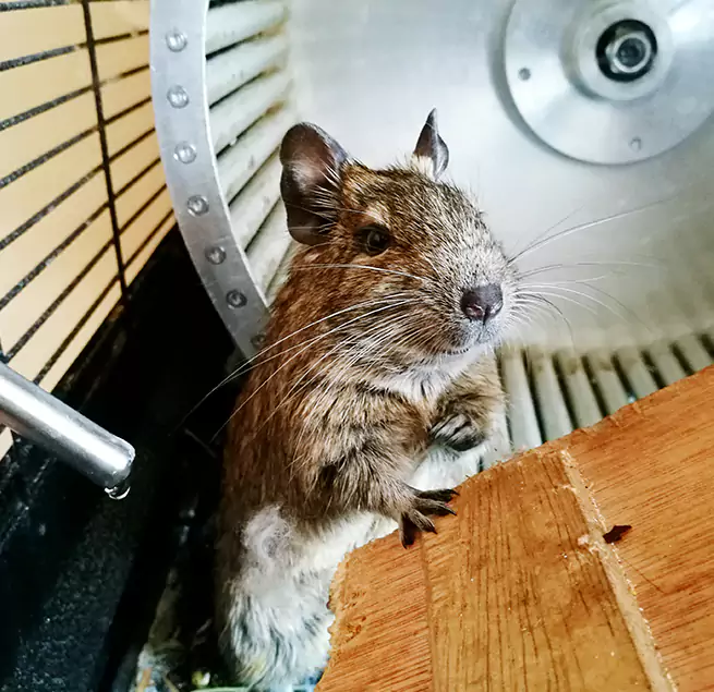 Why Homeowners & Businesses Trust Us Kent, OH